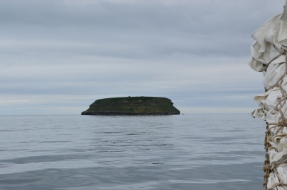 husavik-baleines (23)