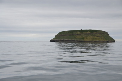 husavik-baleines (28)