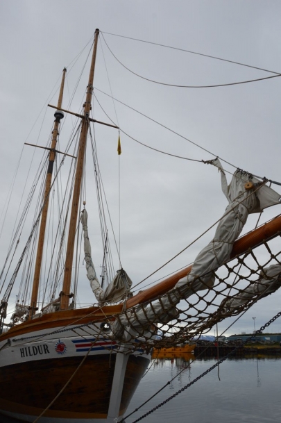 husavik-baleines (3)