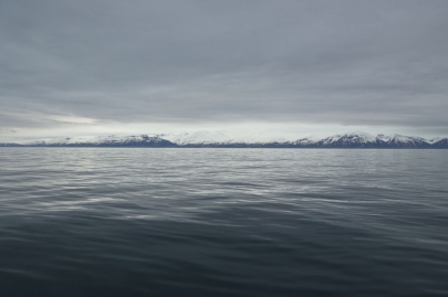 husavik-baleines (44)