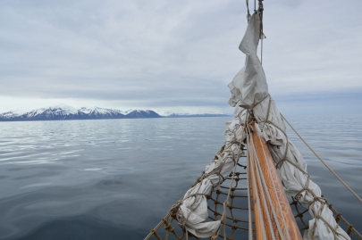 husavik-baleines (46)