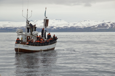 husavik-baleines (57)