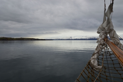 husavik-baleines (6)