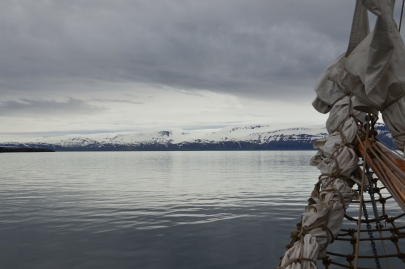 husavik-baleines (7)