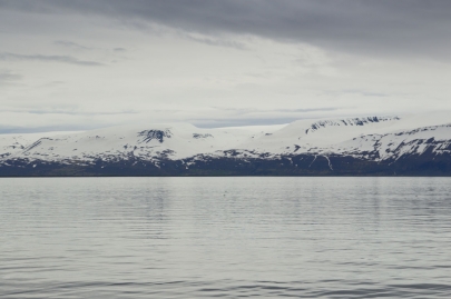 husavik-baleines (8)