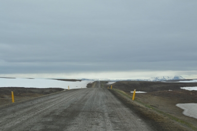 husavik-baleines (85)