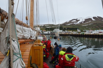 husavik-baleines (9)