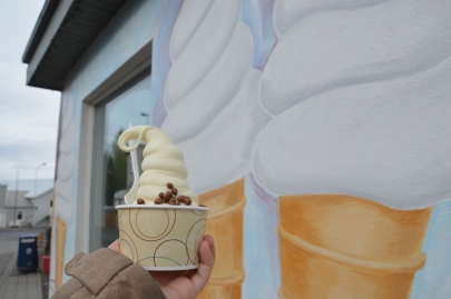 reykjavikakureyru (154)