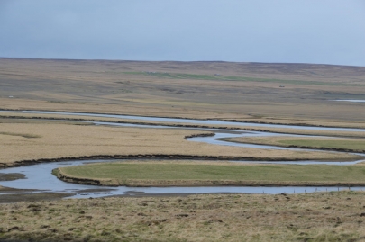 reykjavikakureyru (49)