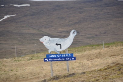 reykjavikakureyru (50)