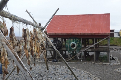 reykjavikakureyru (59)