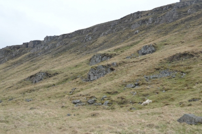 reykjavikakureyru (72)