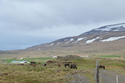 reykjavikakureyru (76)