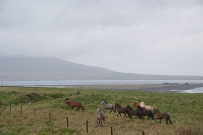 reykjavikakureyru (9)