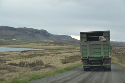 reykjavikakureyru (95)