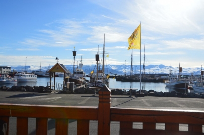 roadtriphusavik (192)