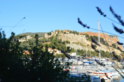 cassis (162)