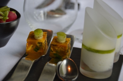 chaletdelaforet-bruxelles (14)