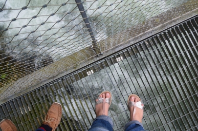 franchecomte_courbet (118)