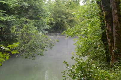 franchecomte_courbet (164)