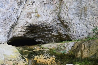 franchecomte_courbet (172)