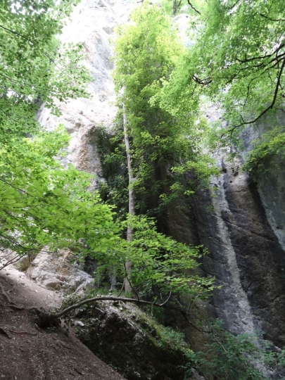 franchecomte_courbet (191)