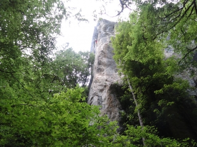 franchecomte_courbet (201)