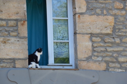 franchecomte_courbet (30)