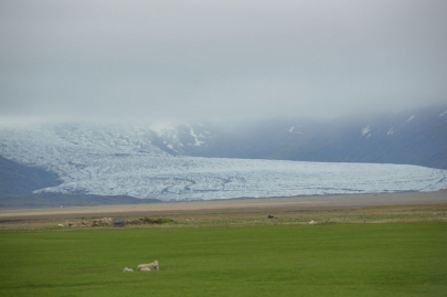 icebergs-islande (1)