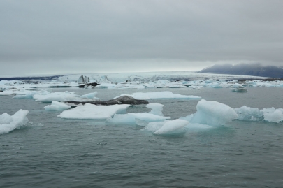 icebergs-islande (109)