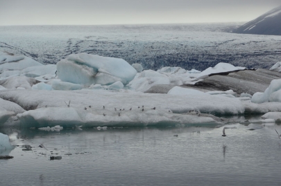 icebergs-islande (139)