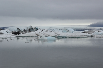 icebergs-islande (141)