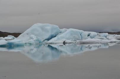 icebergs-islande (144)