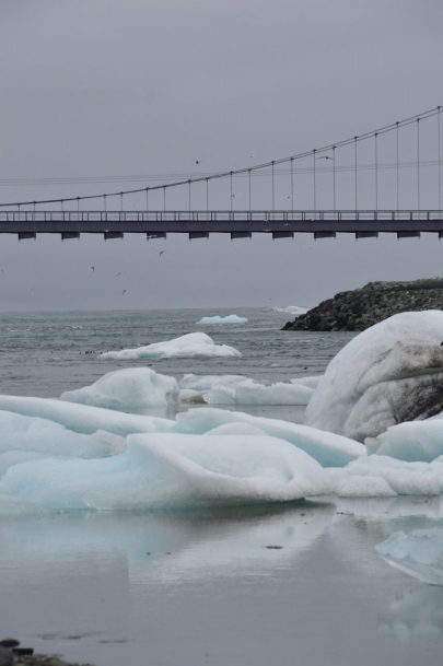 icebergs-islande (159)