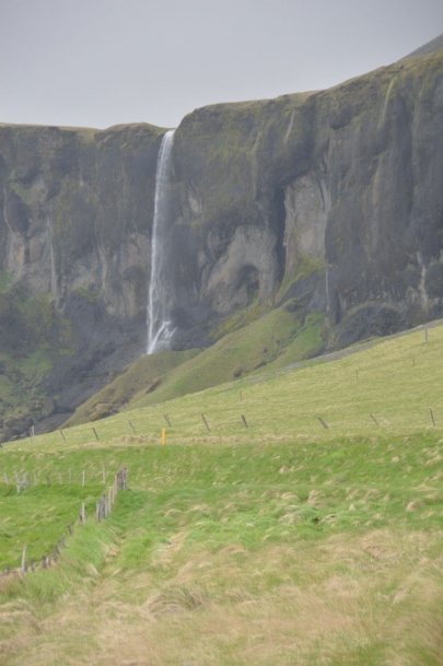 icebergs-islande (274)