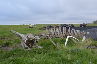 icebergs-islande (275)