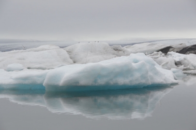icebergs-islande (30)
