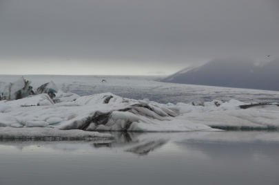 icebergs-islande (33)