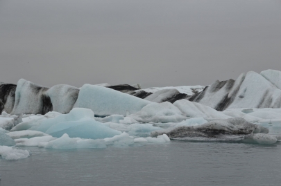icebergs-islande (52)