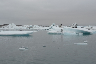 icebergs-islande (54)