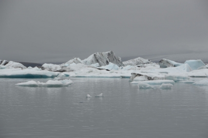 icebergs-islande (63)