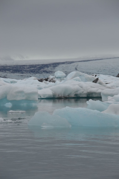 icebergs-islande (83)