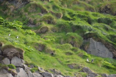 islande-roadtrip-sud (36)