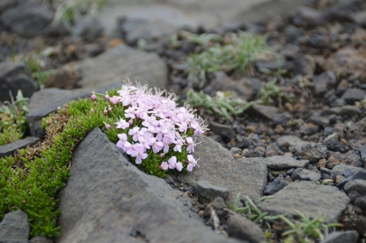 islande-roadtrip-sud (68)