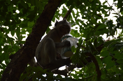 pranakorn-kiri-historical-park (10)