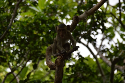 pranakorn-kiri-historical-park (100)