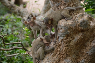 pranakorn-kiri-historical-park (104)