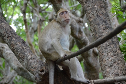 pranakorn-kiri-historical-park (109)