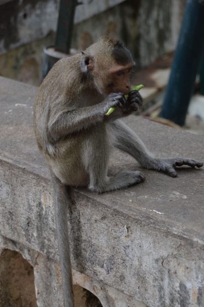 pranakorn-kiri-historical-park (113)