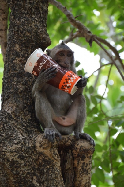 pranakorn-kiri-historical-park (12)